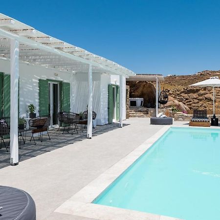 Dioni Villa Mykonos パラガ エクステリア 写真
