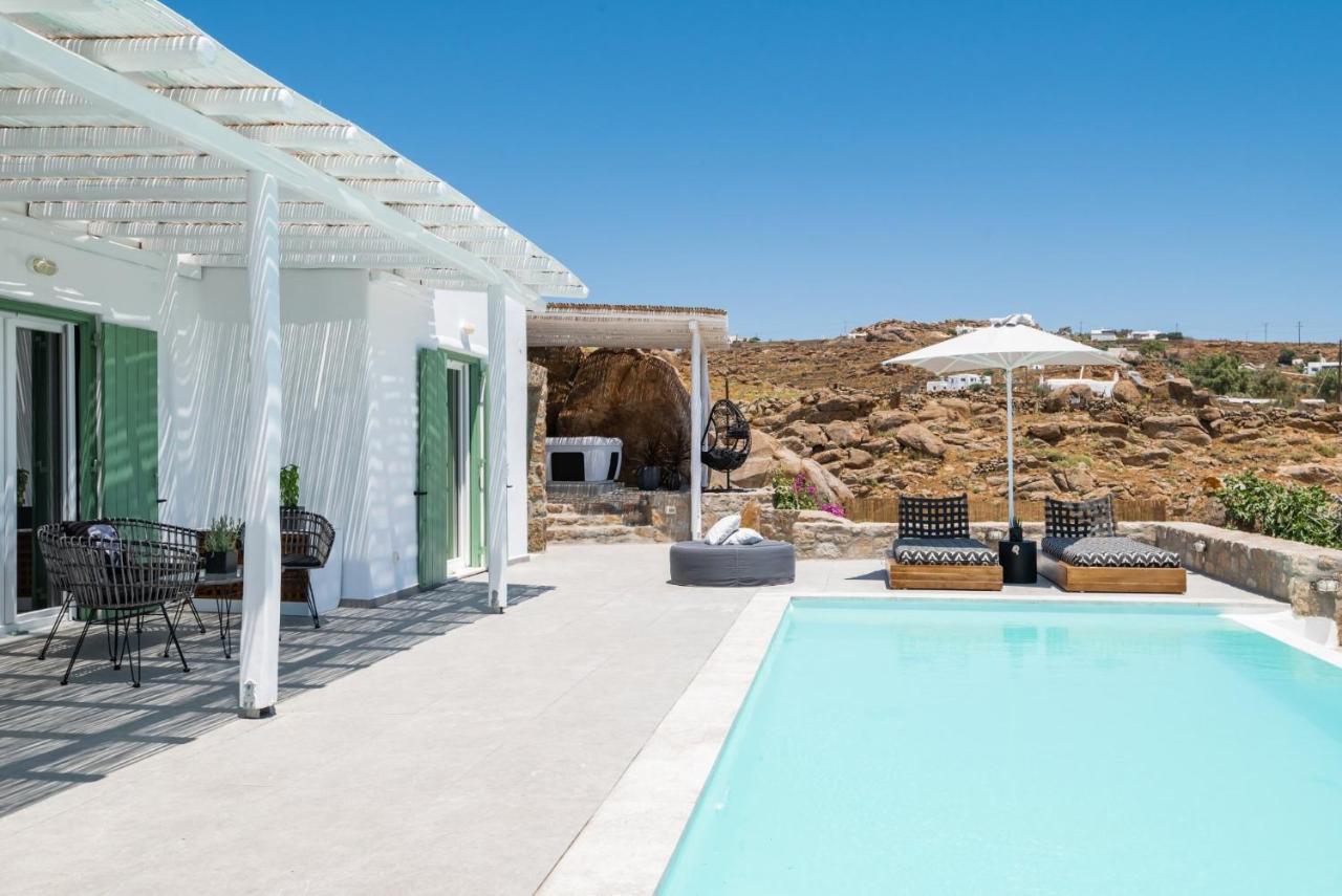 Dioni Villa Mykonos パラガ エクステリア 写真