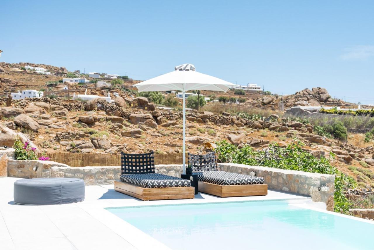 Dioni Villa Mykonos パラガ エクステリア 写真