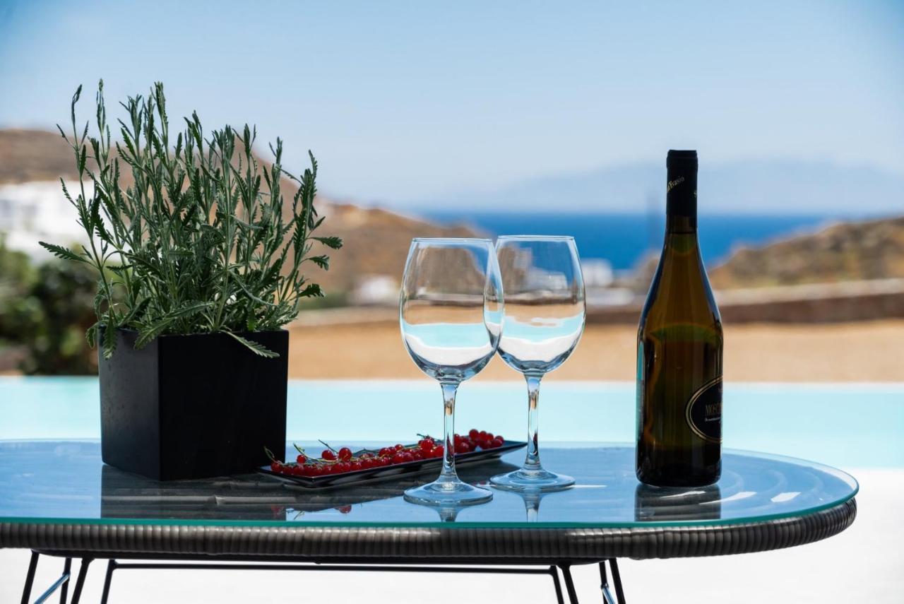 Dioni Villa Mykonos パラガ エクステリア 写真