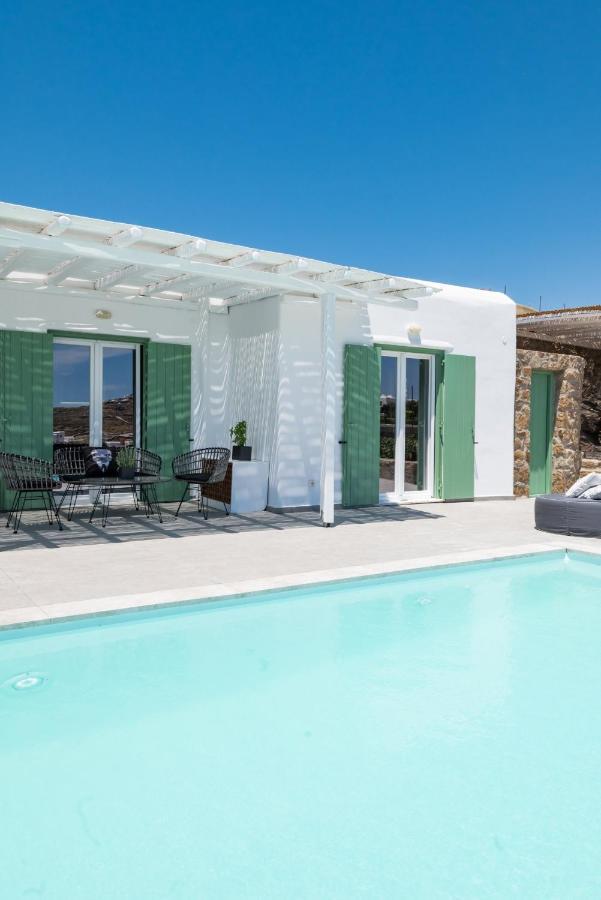 Dioni Villa Mykonos パラガ エクステリア 写真