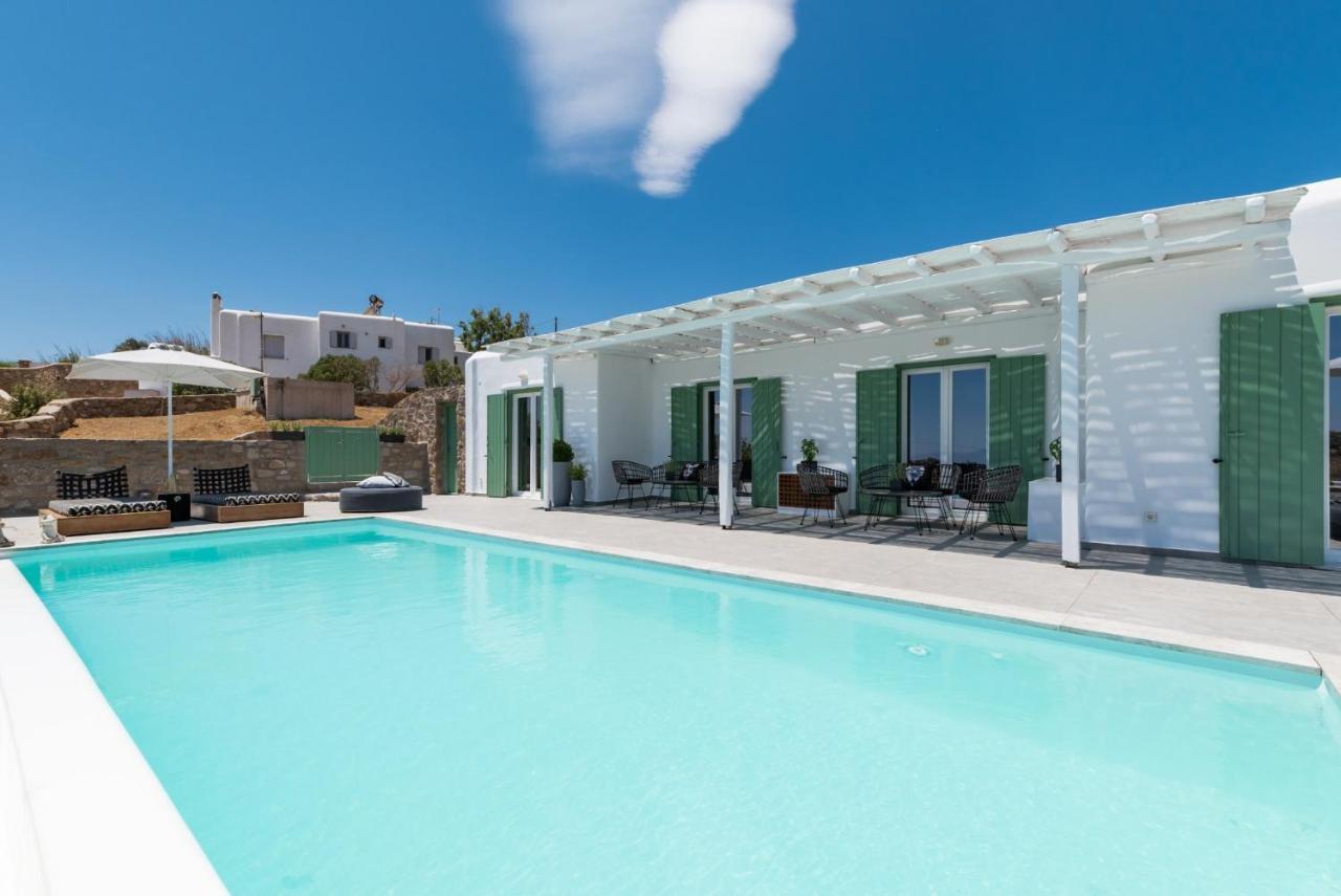 Dioni Villa Mykonos パラガ エクステリア 写真