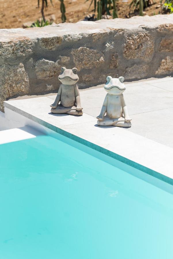 Dioni Villa Mykonos パラガ エクステリア 写真