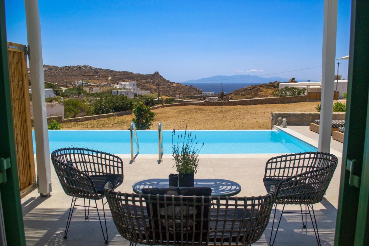 Dioni Villa Mykonos パラガ エクステリア 写真