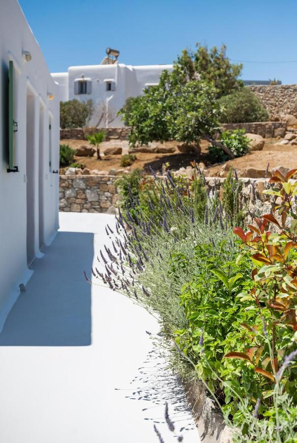 Dioni Villa Mykonos パラガ エクステリア 写真
