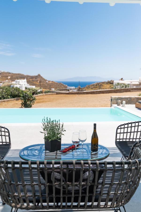 Dioni Villa Mykonos パラガ エクステリア 写真