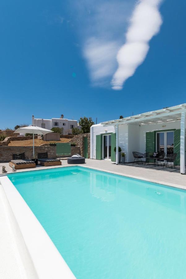 Dioni Villa Mykonos パラガ エクステリア 写真