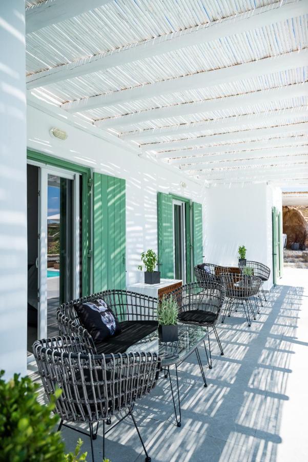 Dioni Villa Mykonos パラガ エクステリア 写真